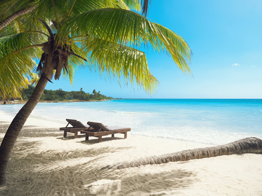 photo of two chairs on a tropical beach with a palm tree in the foreground